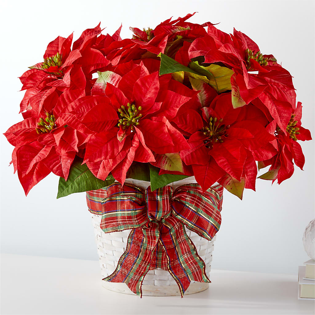 Happiest Holidays Poinsettia – Happy Events By Euna, Metuchen NJ