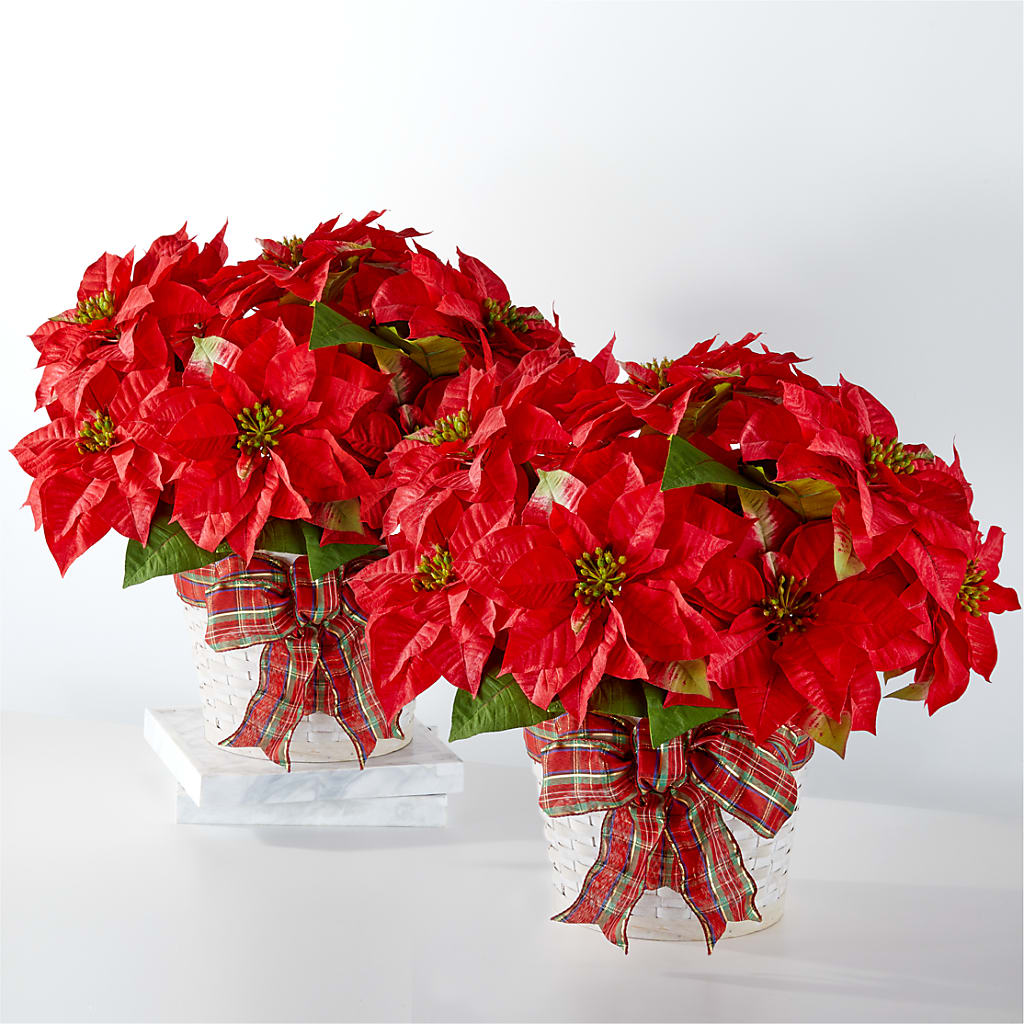 Happiest Holidays Poinsettia Bundle – Happy Events By Euna, Metuchen NJ
