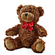 Adorable Plush Bear – Happy Events By Euna, Metuchen NJ