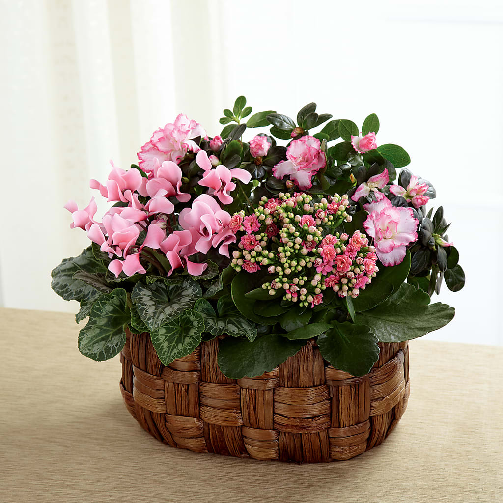 Pink Assortment – Happy Events By Euna, Metuchen NJ