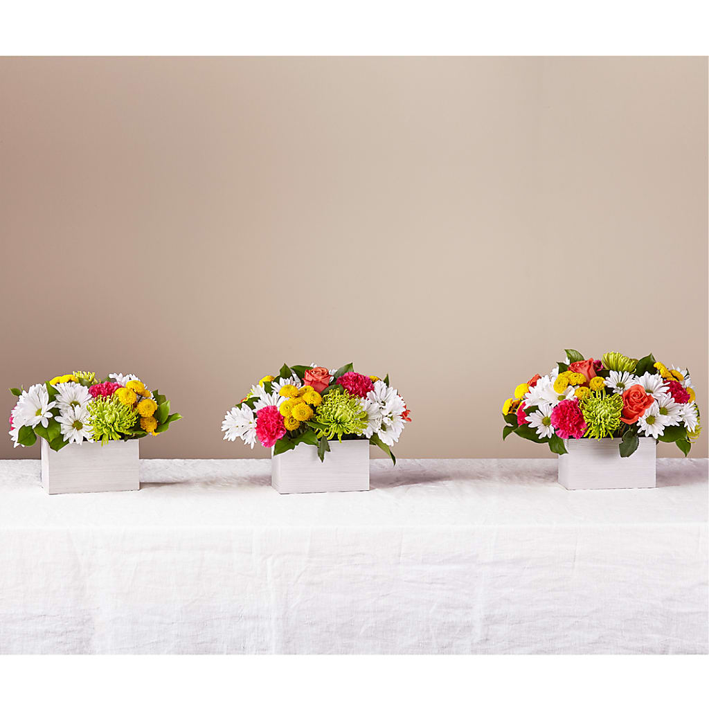 Sorbet Bouquet – Happy Events By Euna, Metuchen NJ