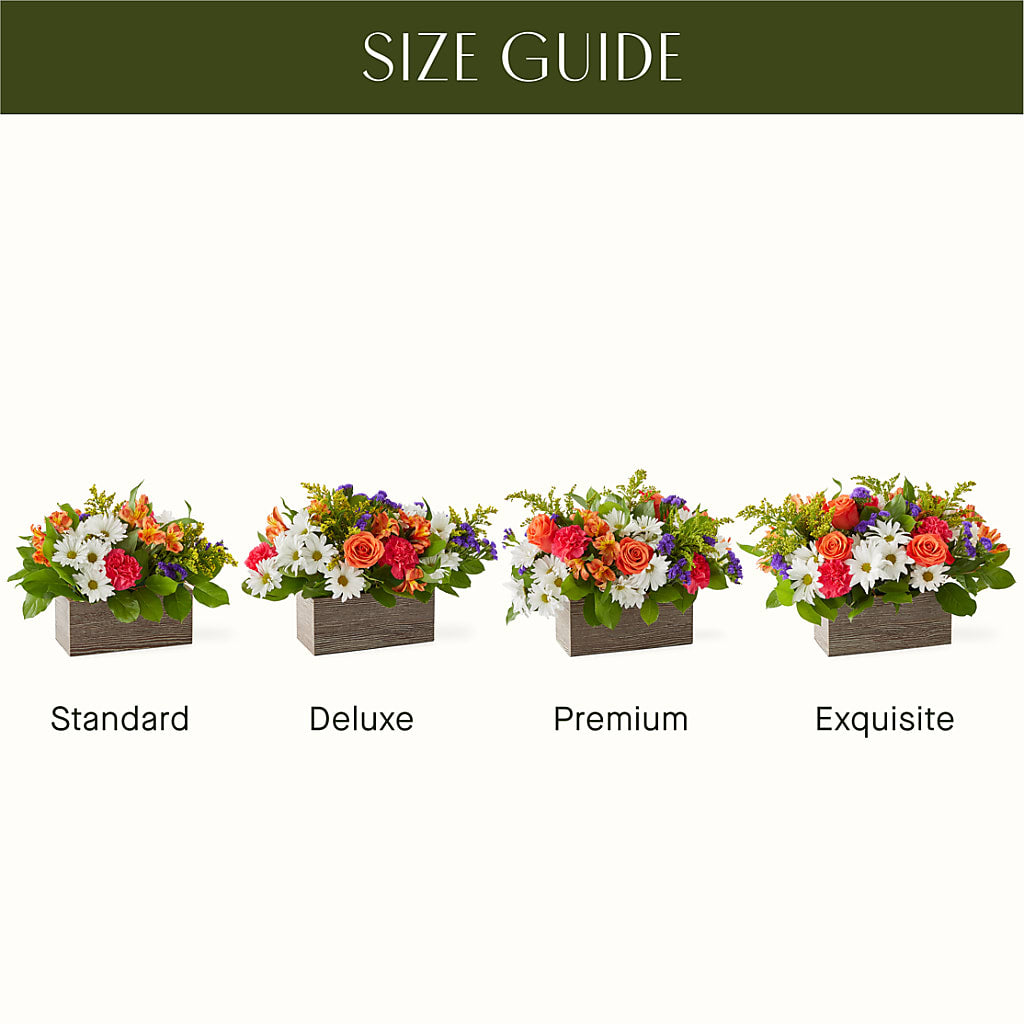 Oopsie Daisy Box Bouquet – Happy Events By Euna, Metuchen NJ