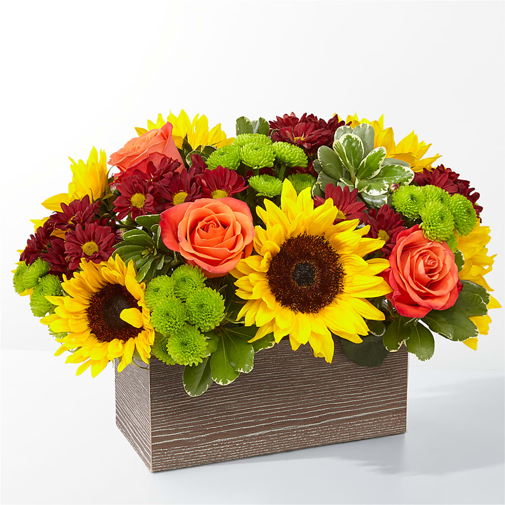 Happy Harvest Garden – Happy Events By Euna, Metuchen NJ