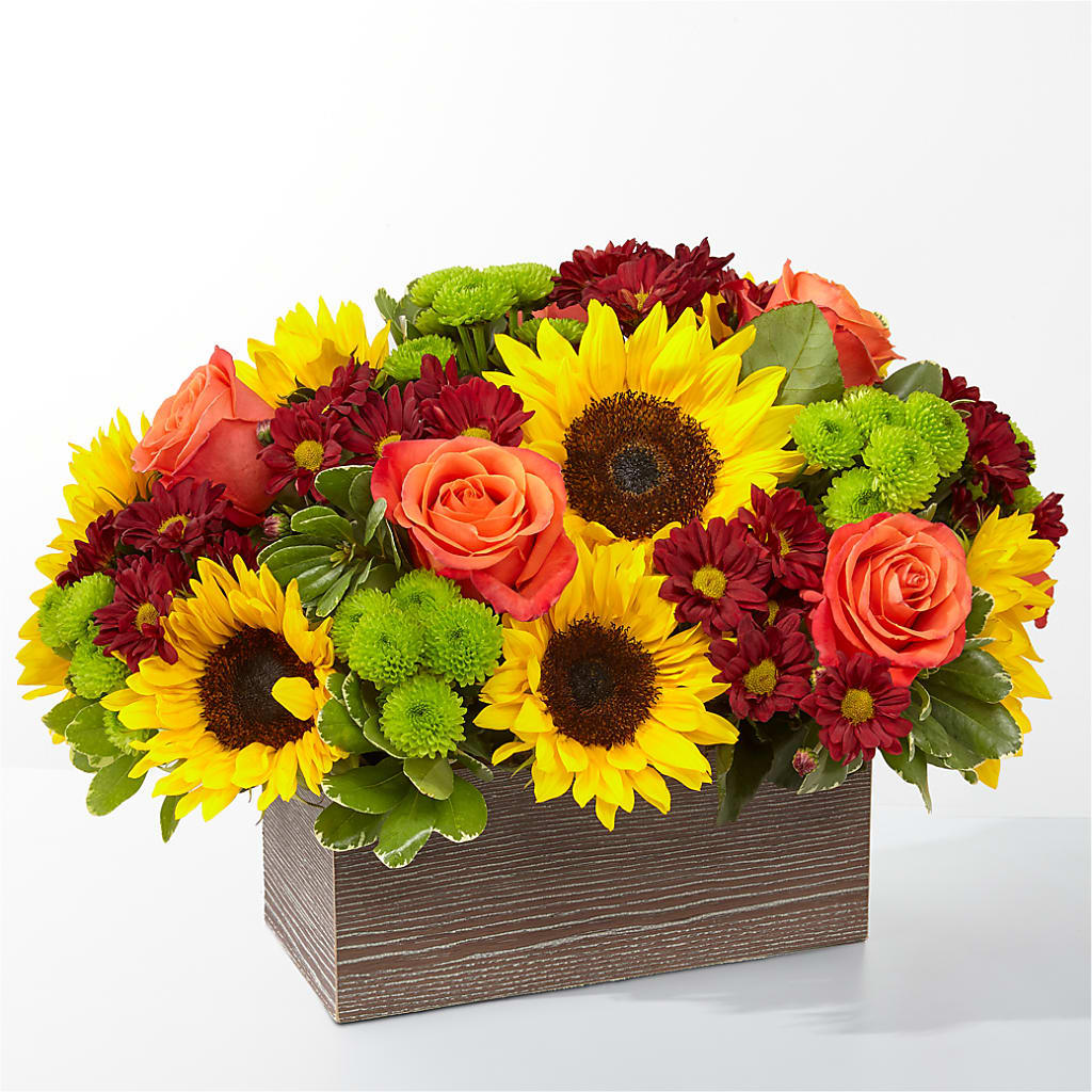 Happy Harvest Garden – Happy Events By Euna, Metuchen NJ