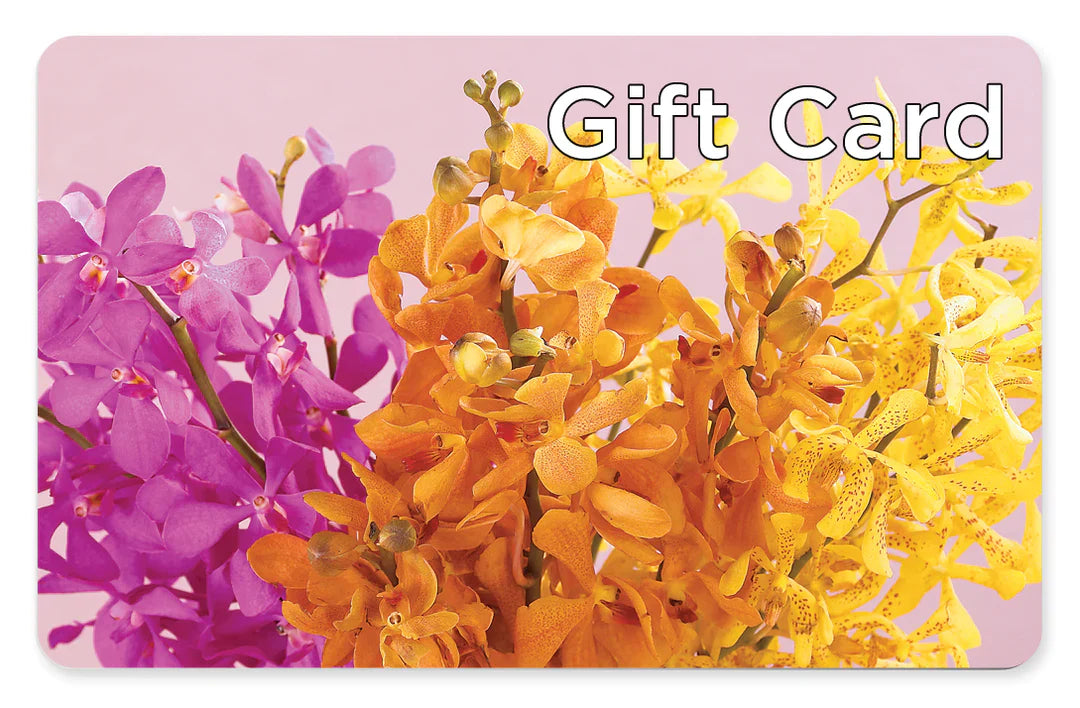 Gift Card – Happy Events By Euna, Metuchen NJ