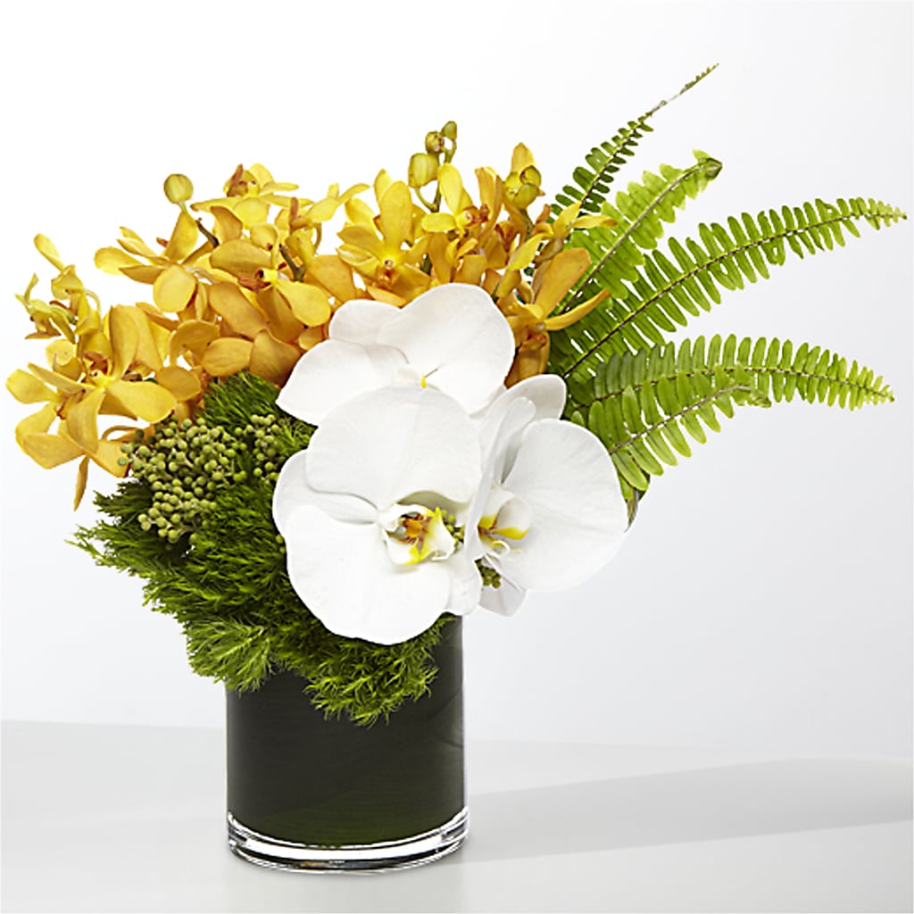 The Tropics – Happy Events By Euna, Metuchen NJ