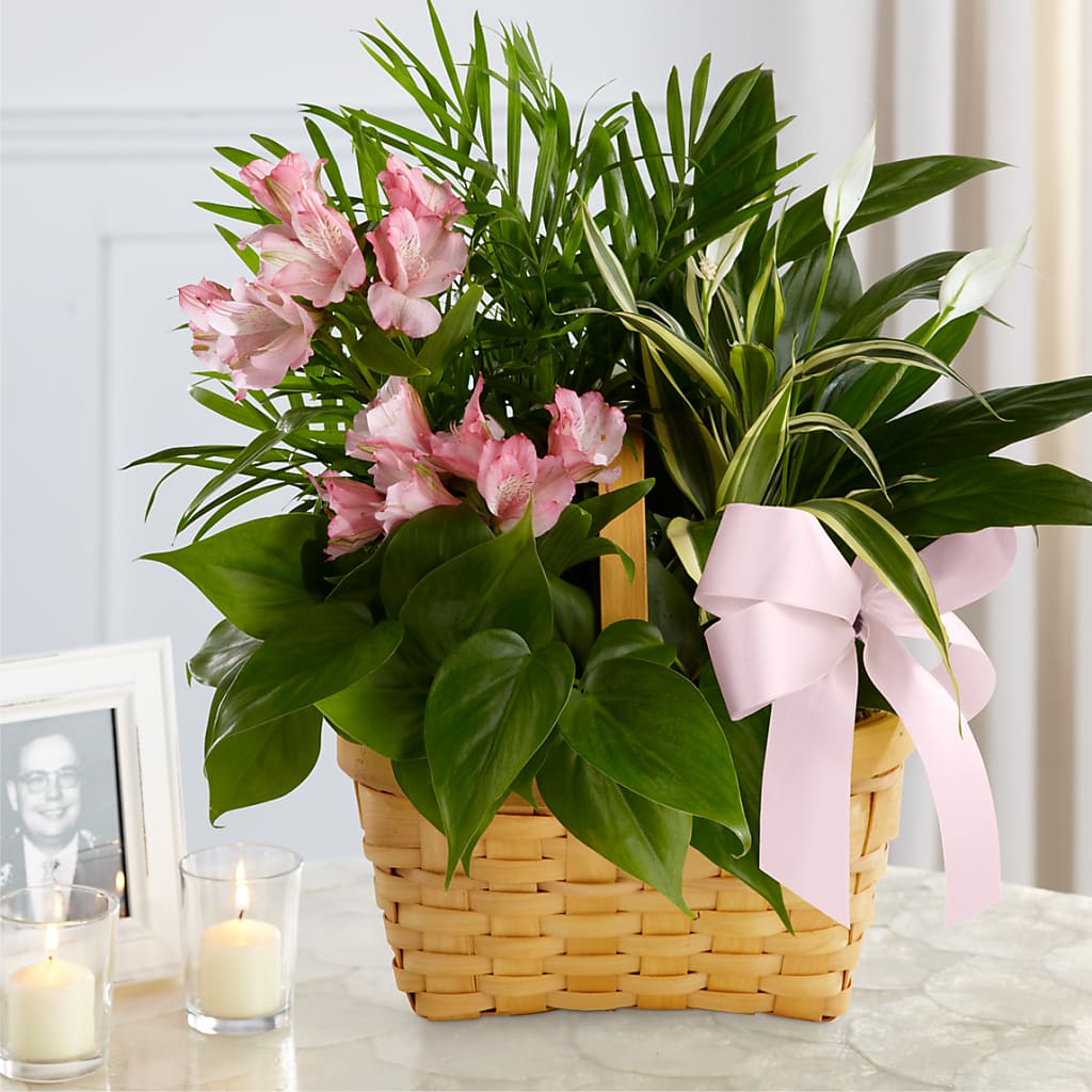 Living Spirit Dishgarden – Happy Events By Euna, Metuchen NJ