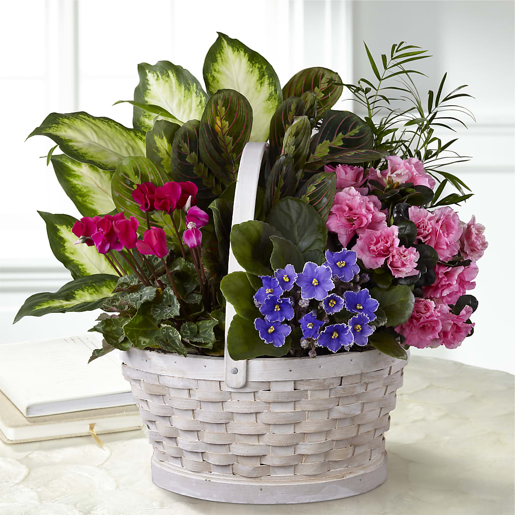 Peaceful Garden Planter – Happy Events By Euna, Metuchen NJ