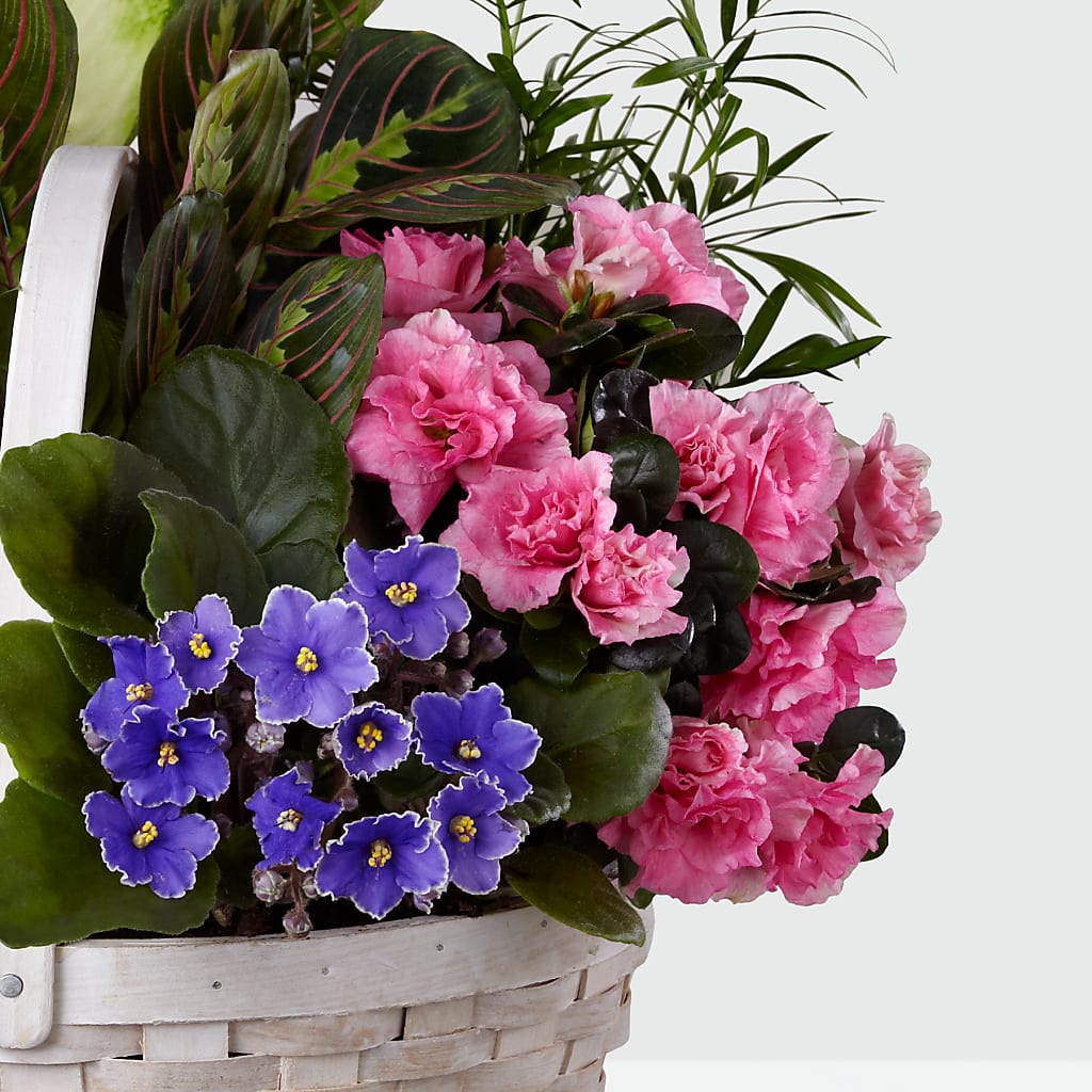 Peaceful Garden Planter – Happy Events By Euna, Metuchen NJ