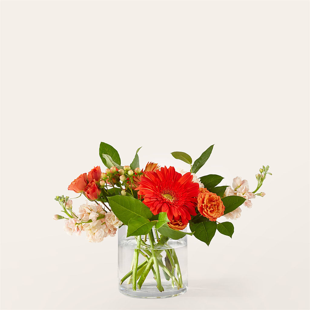 Paloma Please Bouquet – Happy Events By Euna, Metuchen NJ