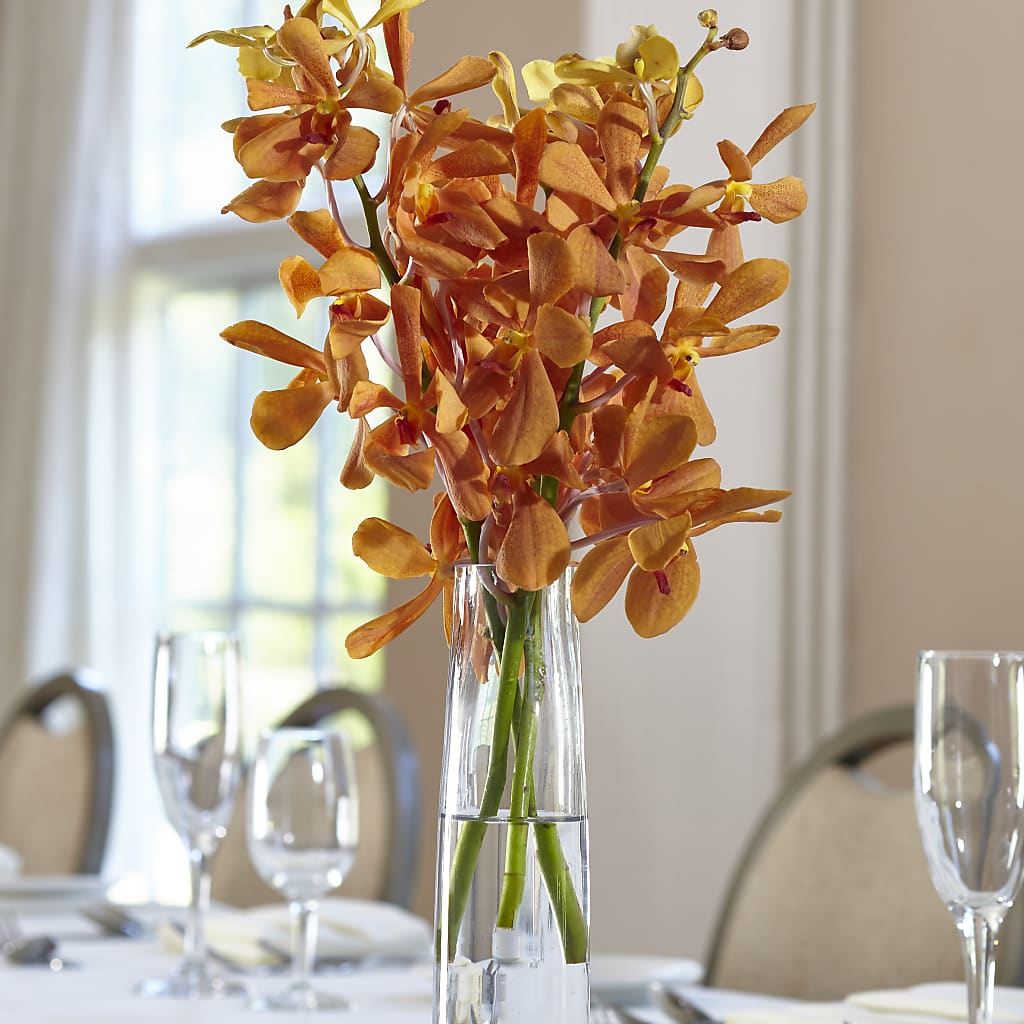 Orange Mokara Bud Vase – Happy Events By Euna, Metuchen NJ