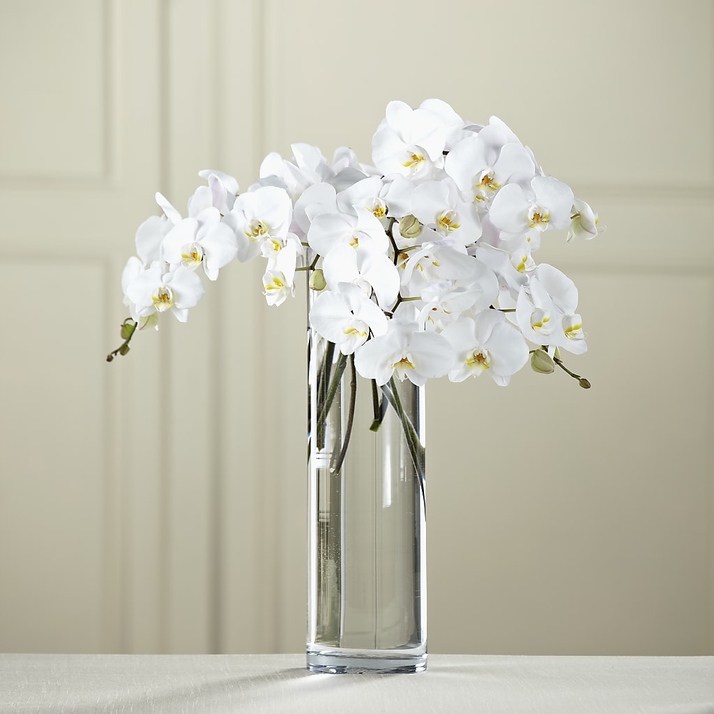 White Phalaenopsis Bouquet – Happy Events By Euna, Metuchen NJ