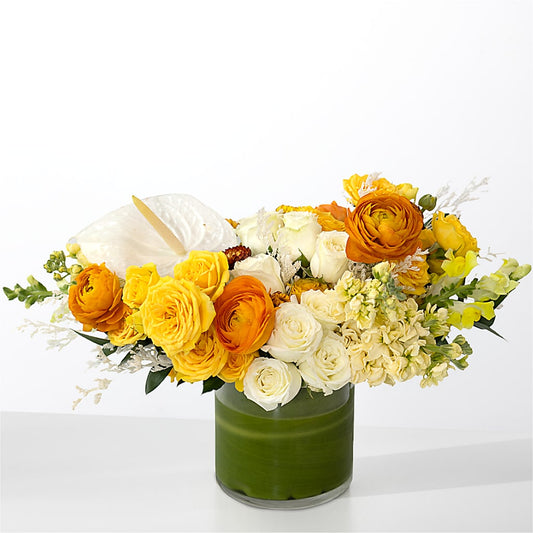 The Optimist –  Happy Events By Euna, Metuchen NJ
