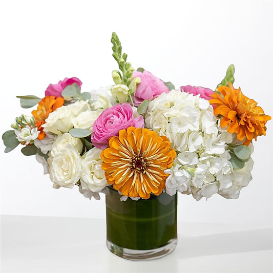 The Meet Cute –  Happy Events By Euna, Metuchen NJ