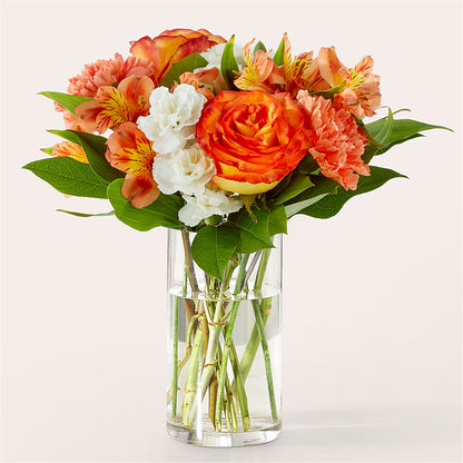Bouquet Abricot Lumineux