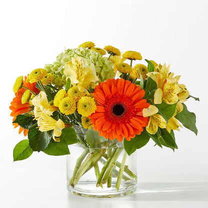 Bouquet Soleil d'Automne