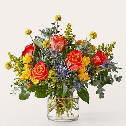 Bouquet disco