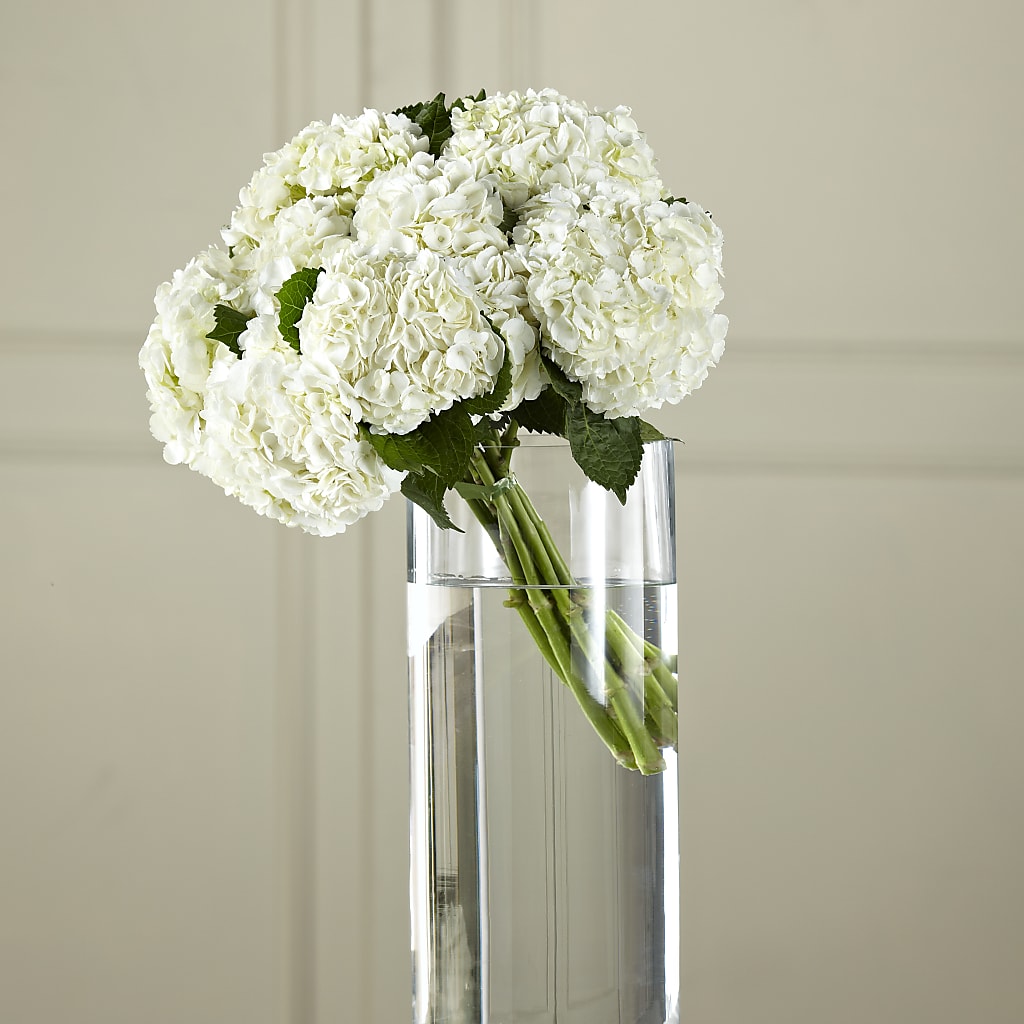 Bouquet de {{flower}} hydrangées blanches