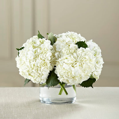 White Hydrangea Bouquet –  Happy Events By Euna, Metuchen NJ